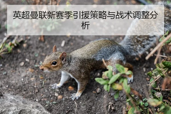 英超曼联新赛季引援策略与战术调整分析